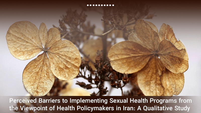 Perceived Barriers to Implementing Sexual Health Programs from the